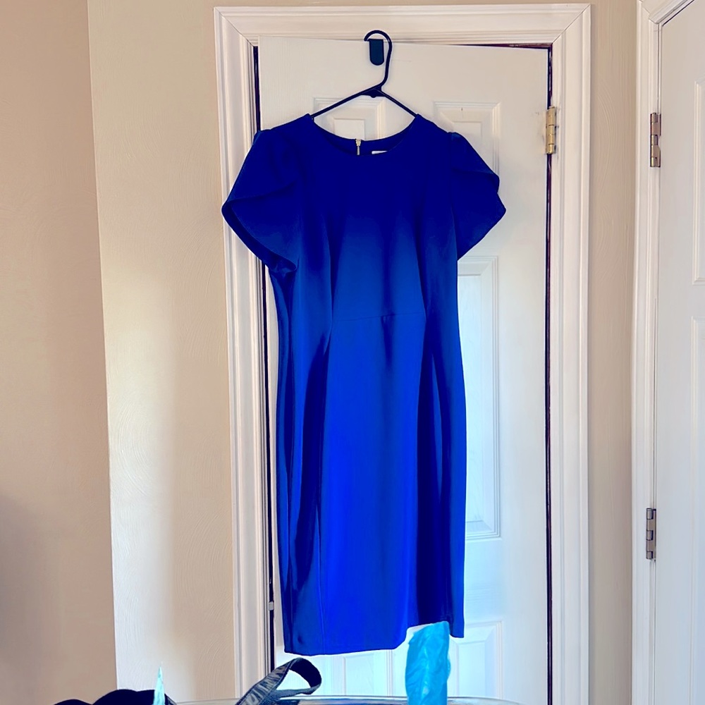 Calvin Klein Tulip Sleeve Sheath Dress